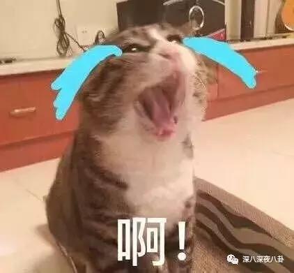 金庸的侠客精神,金庸小说里侠的精神