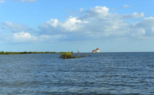 柬埔寨盛产稻米吗,柬埔寨最好的大米品种