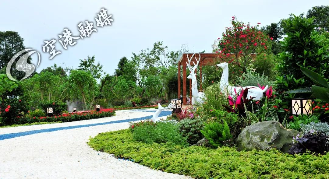 生活在成都幸福感满满,成都幸福指数高体现在哪方面