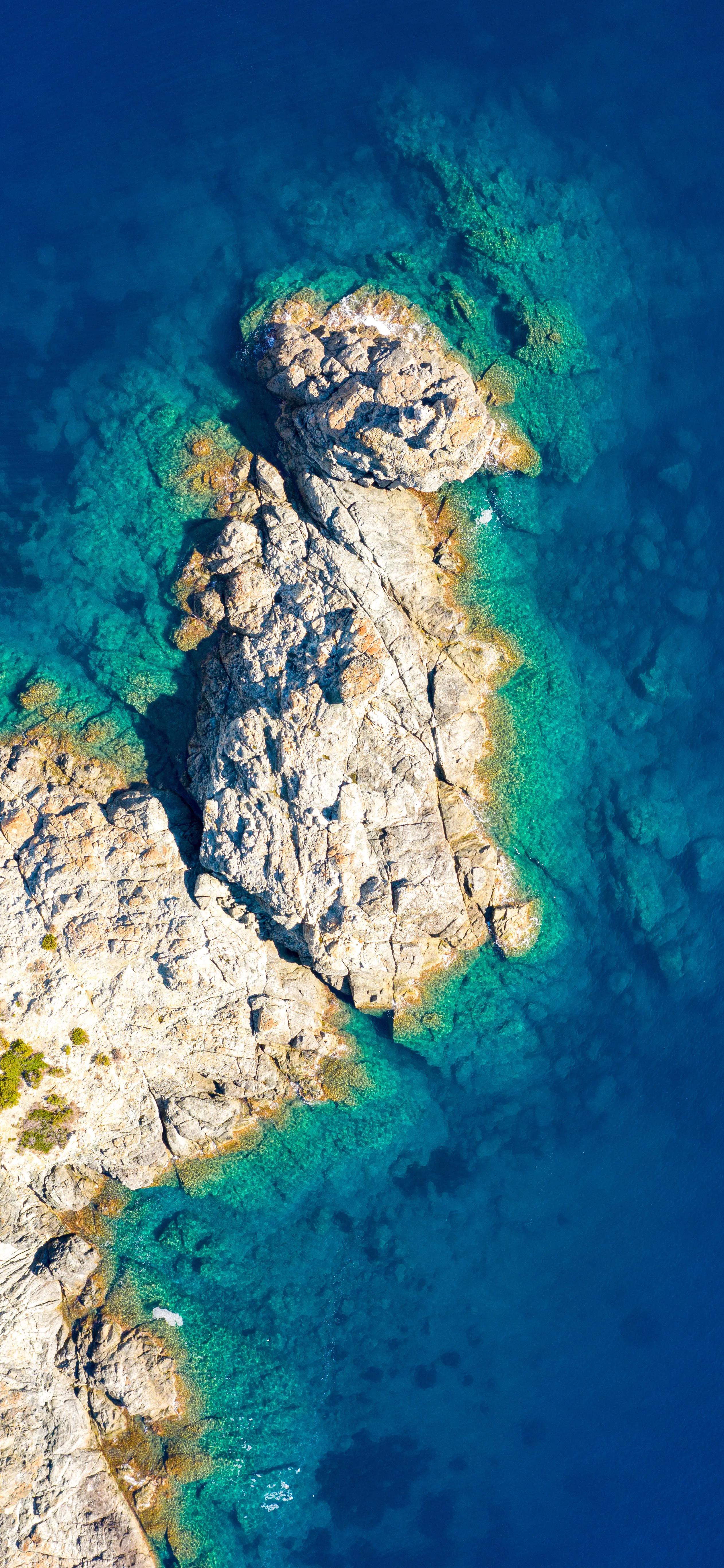 风景壁纸图片大全高清自然风景,100张自然风景全屏壁纸花