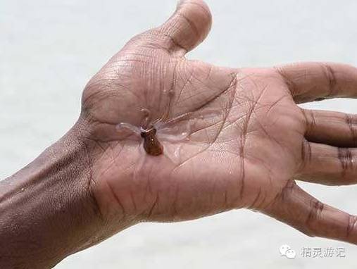 十个生活冷知识:你知道吗？冬天不能把头蒙在被子里唾！