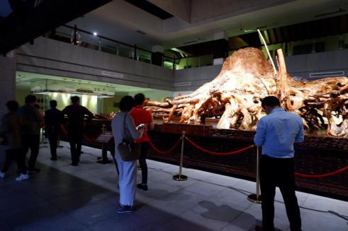 常回家看看！2020年，上海湘菜餐饮人再出发的“192小时”