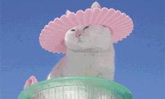 地域拖油瓶,地狱式拖油瓶