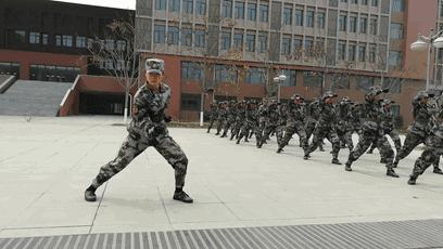 武警军体拳分解动作,军体拳动作口号