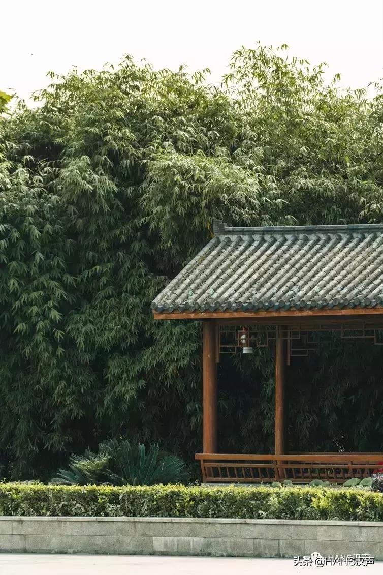 汉口夏天,汉口夏日