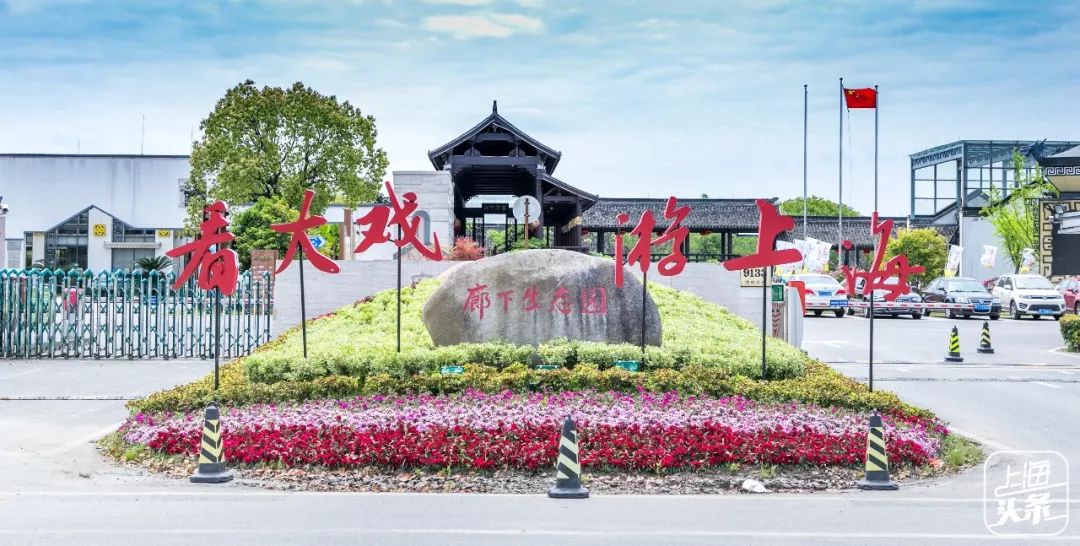 上海宋城免费景点,上海一日游攻略必去景点免费