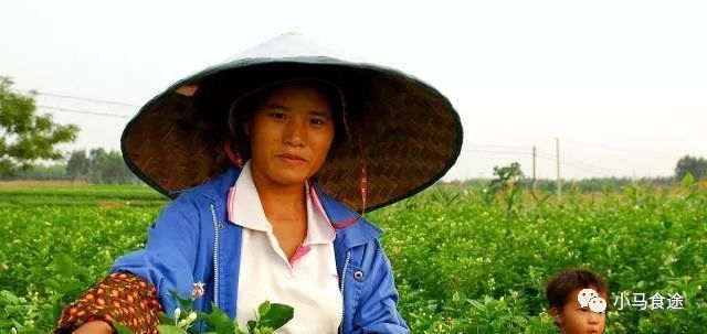 广西十大特产零食排名,广西桂平十大出名特产