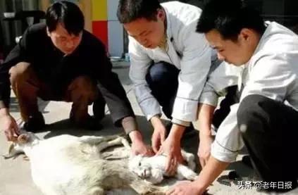 朋友圈最火的6张图片道破人性,朋友圈最火的4张图片道破人性