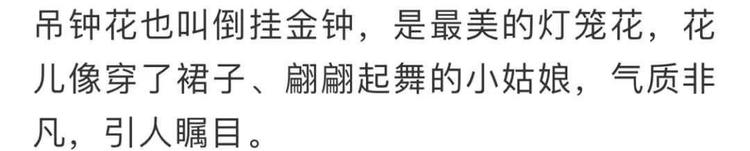 看到花的时候，不知是什么花？那就收下这份百花图谱