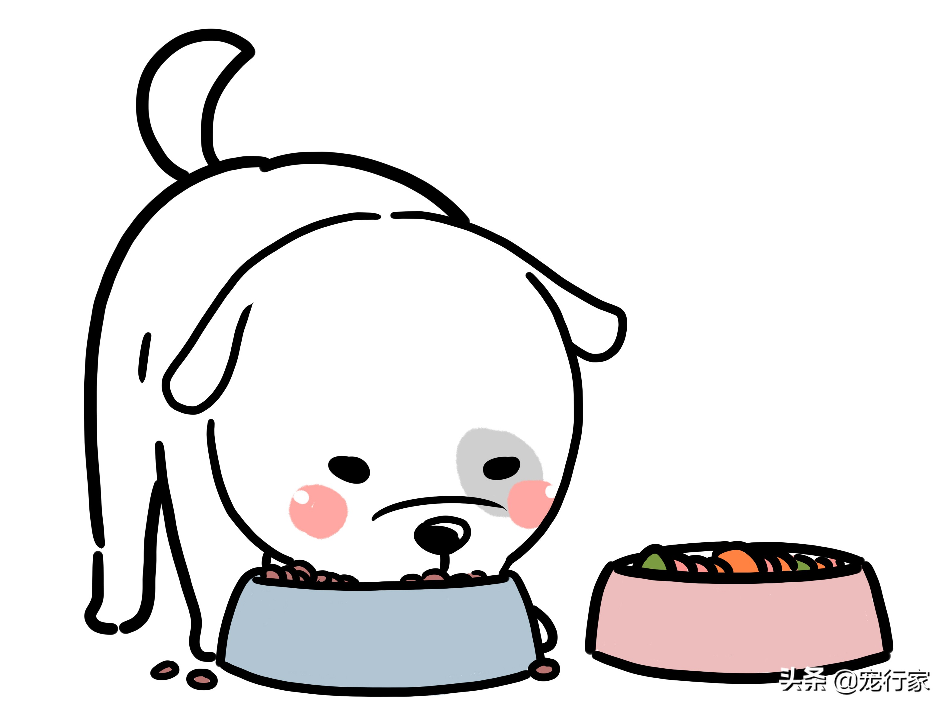 狗狗的毛很柴怎么办,狗狗的毛很干枯