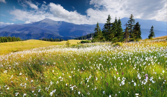 厚道之人必有后福全文,厚道之人必有厚福踏实做事
