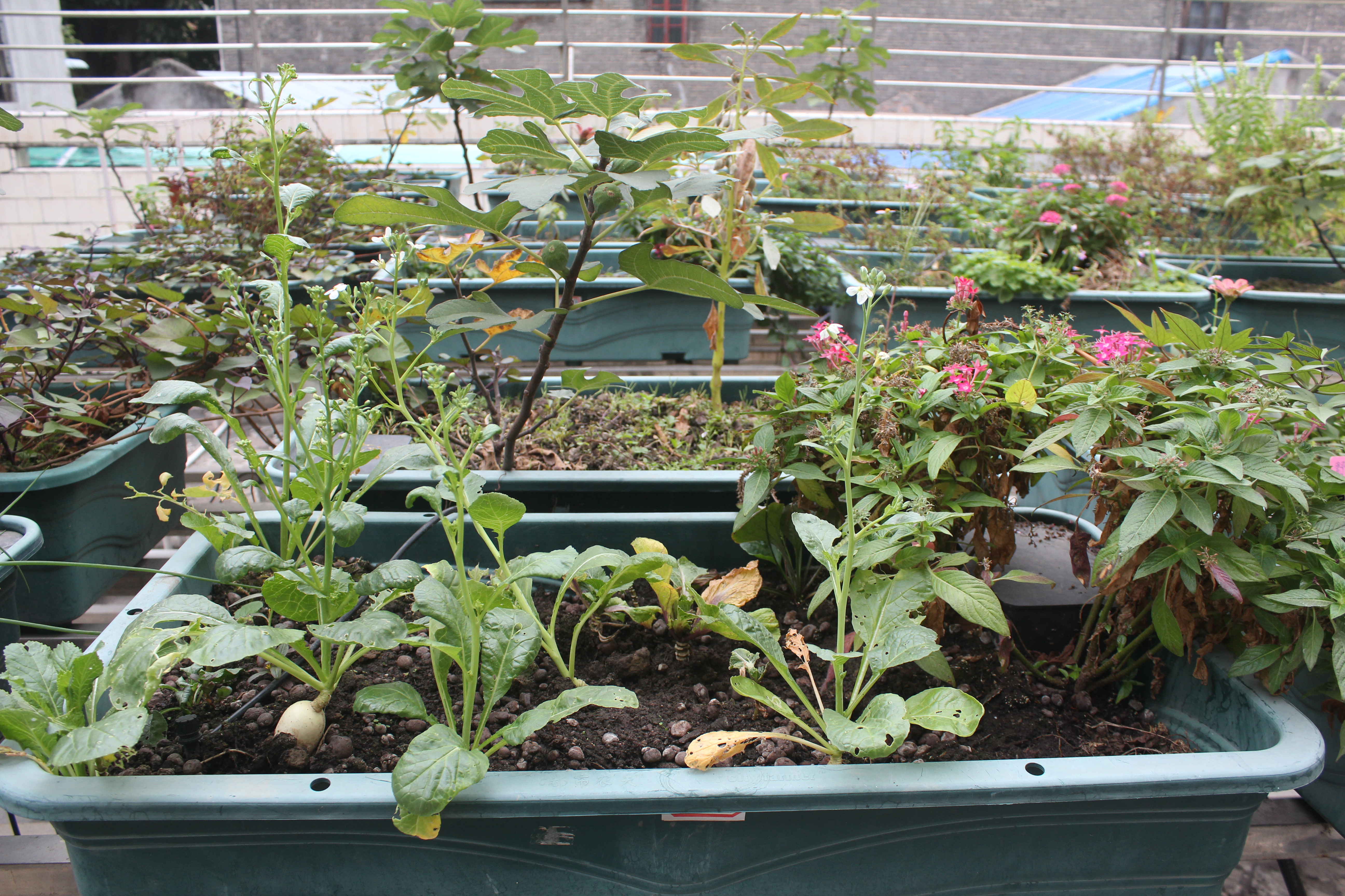 瑜伽可以治疗心理疾病吗,瑜伽理疗能量修复