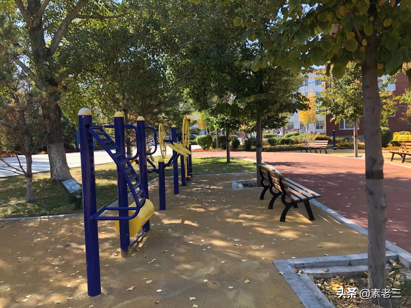 女作家去做保姆101集,女作家去做保姆最新篇920