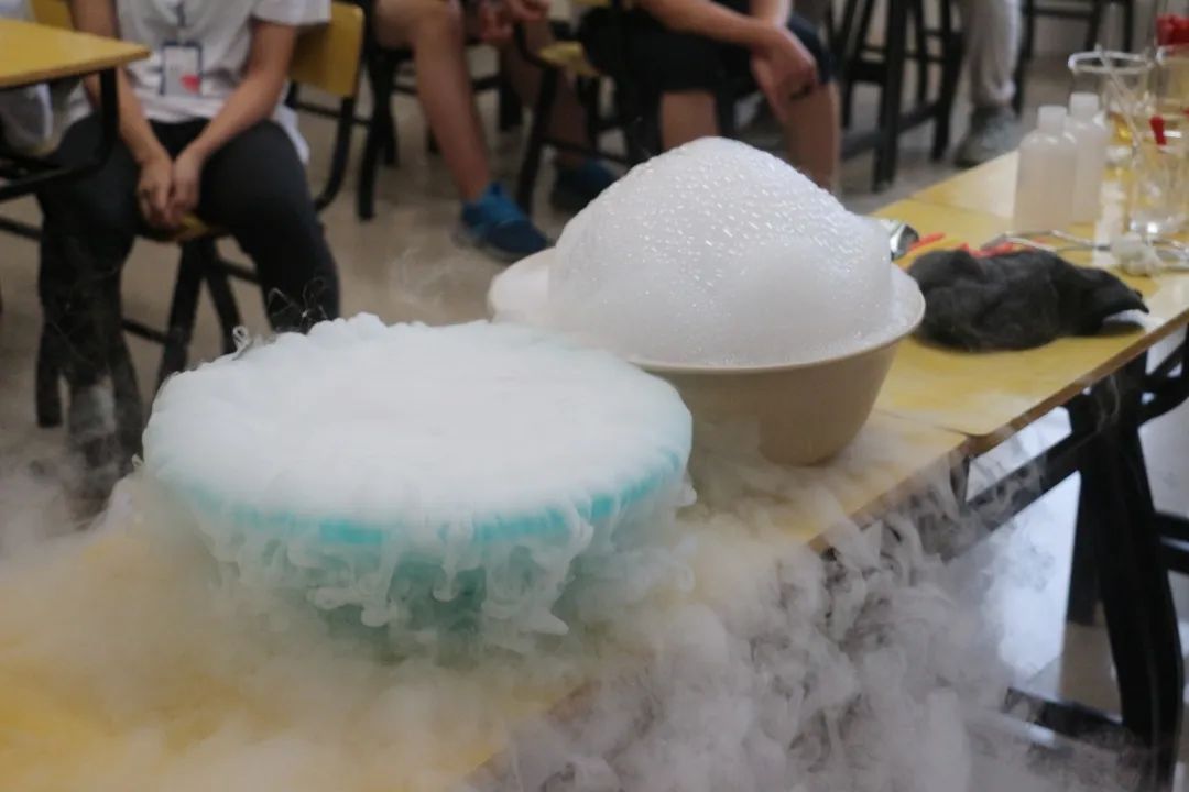 合肥一中蒙特威,合肥一中美国蒙特威高中学费