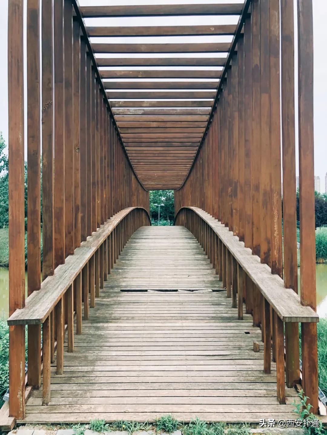 浐灞国家湿地公园最美地方,浐灞湿地公园有啥好玩的