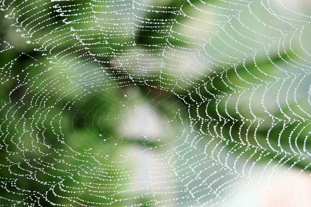 看图速配古诗,看图配诗大全