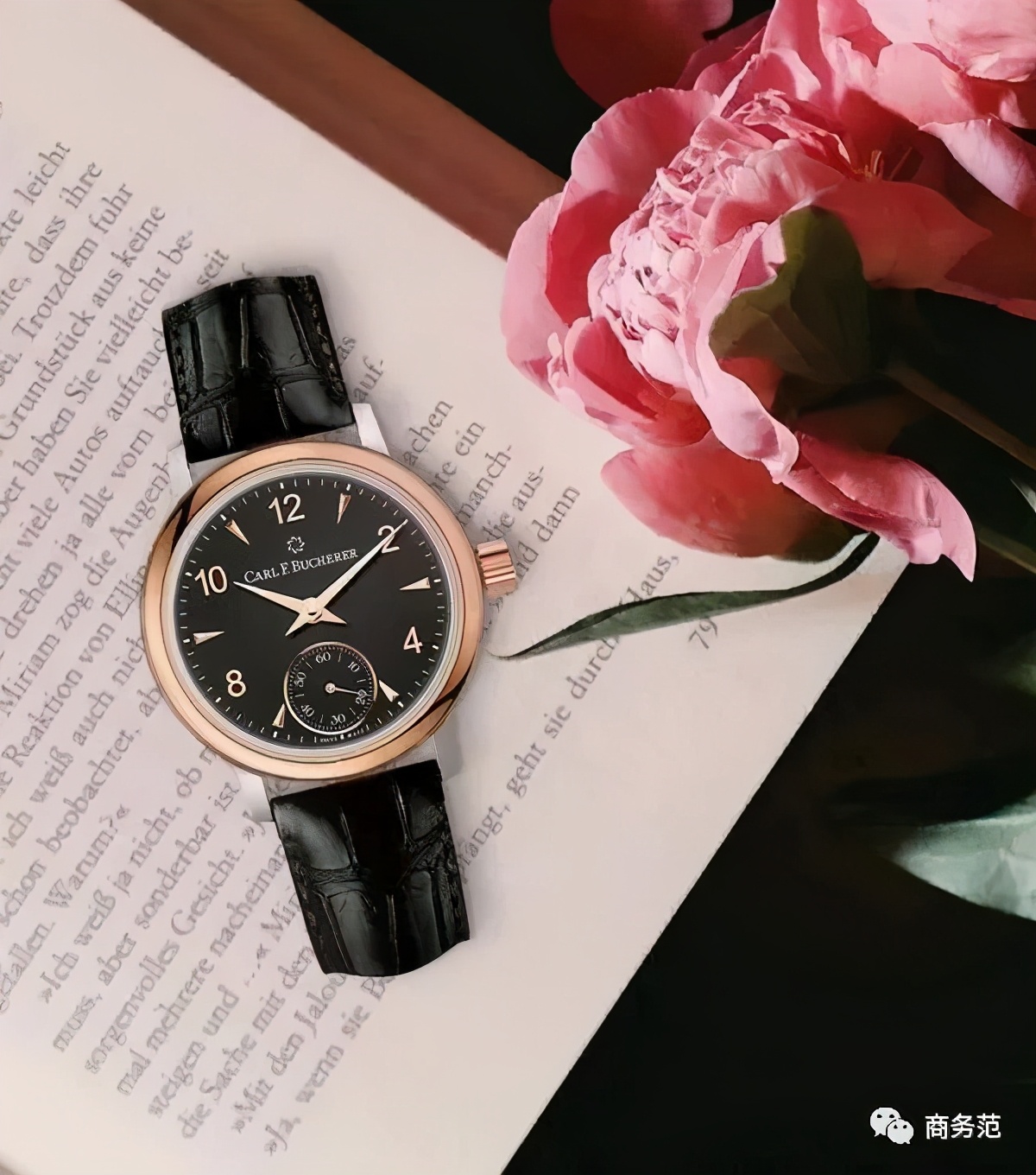 2万预算买什么表,2万预算买什么二手女表