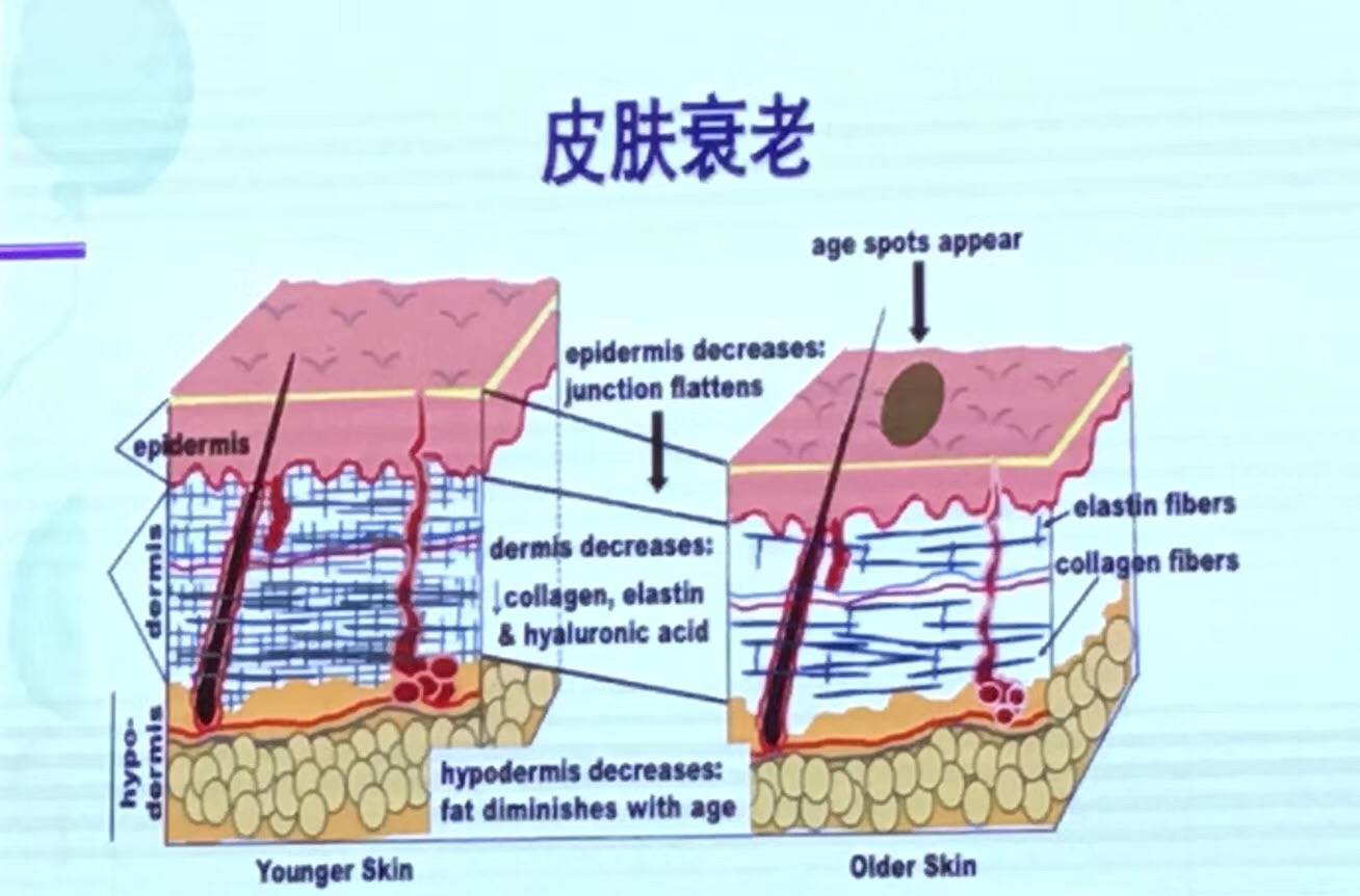 王沛森医院院长,王沛森院长视频