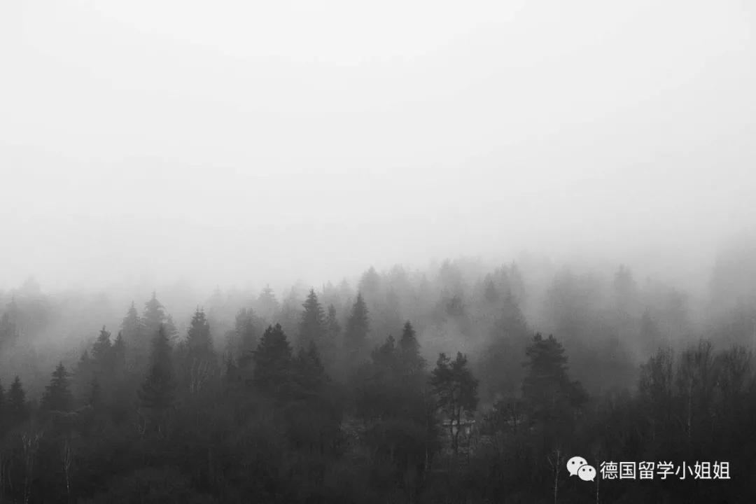 德国留学得了抑郁症怎么办,德国留学读不下去了怎么办