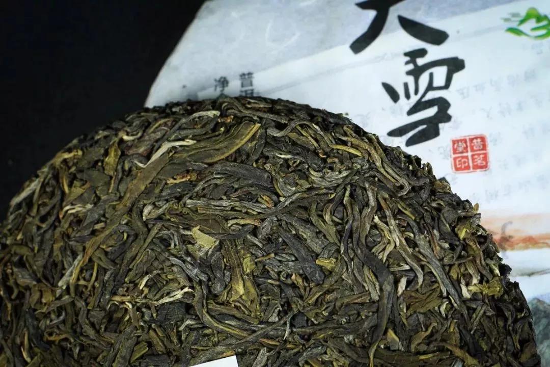 2024年临沧茶区普洱茶春茶价格表,临沧普洱茶春茶