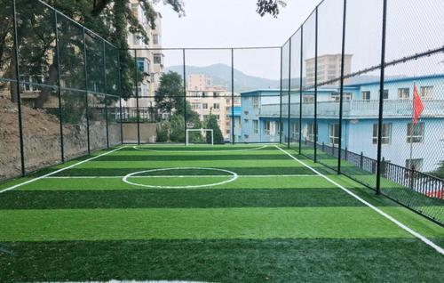 中国有多少青训足校,中国所有的足校