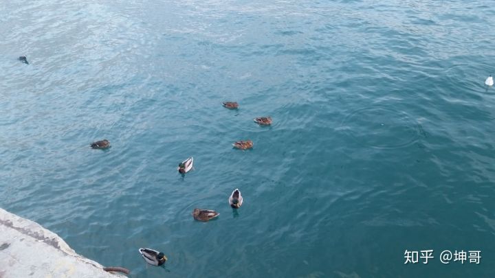 真实俄罗斯生活啥样的,俄罗斯是一个什么样的民族