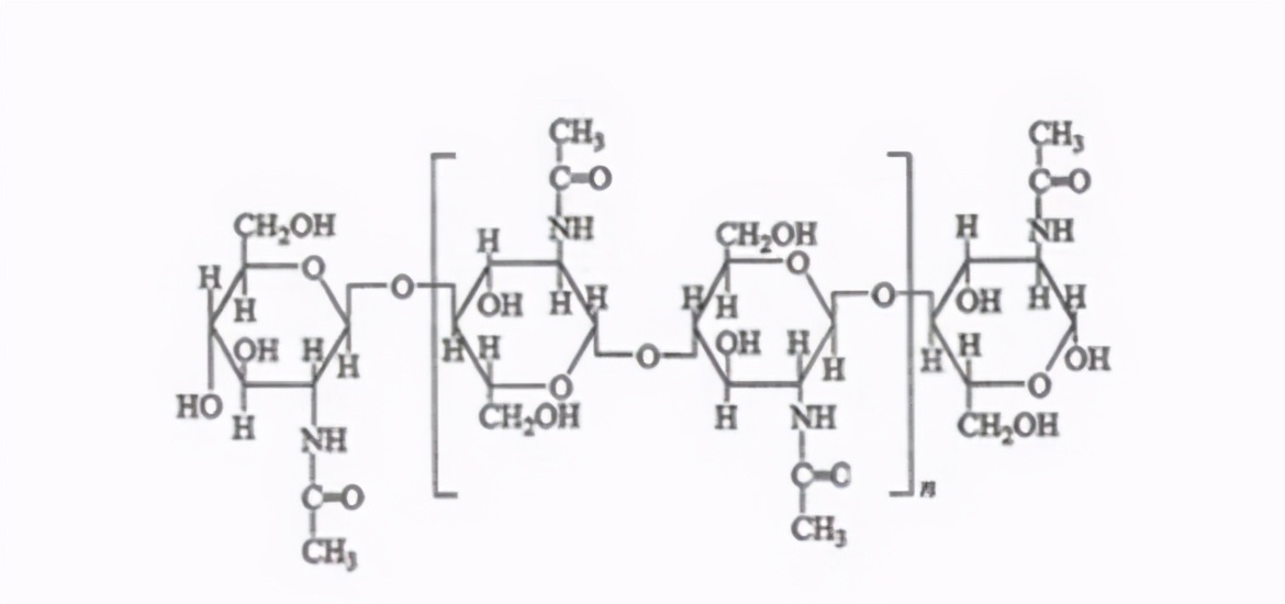 苍蝇灭绝对地球有害吗,苍蝇在世界上的意义