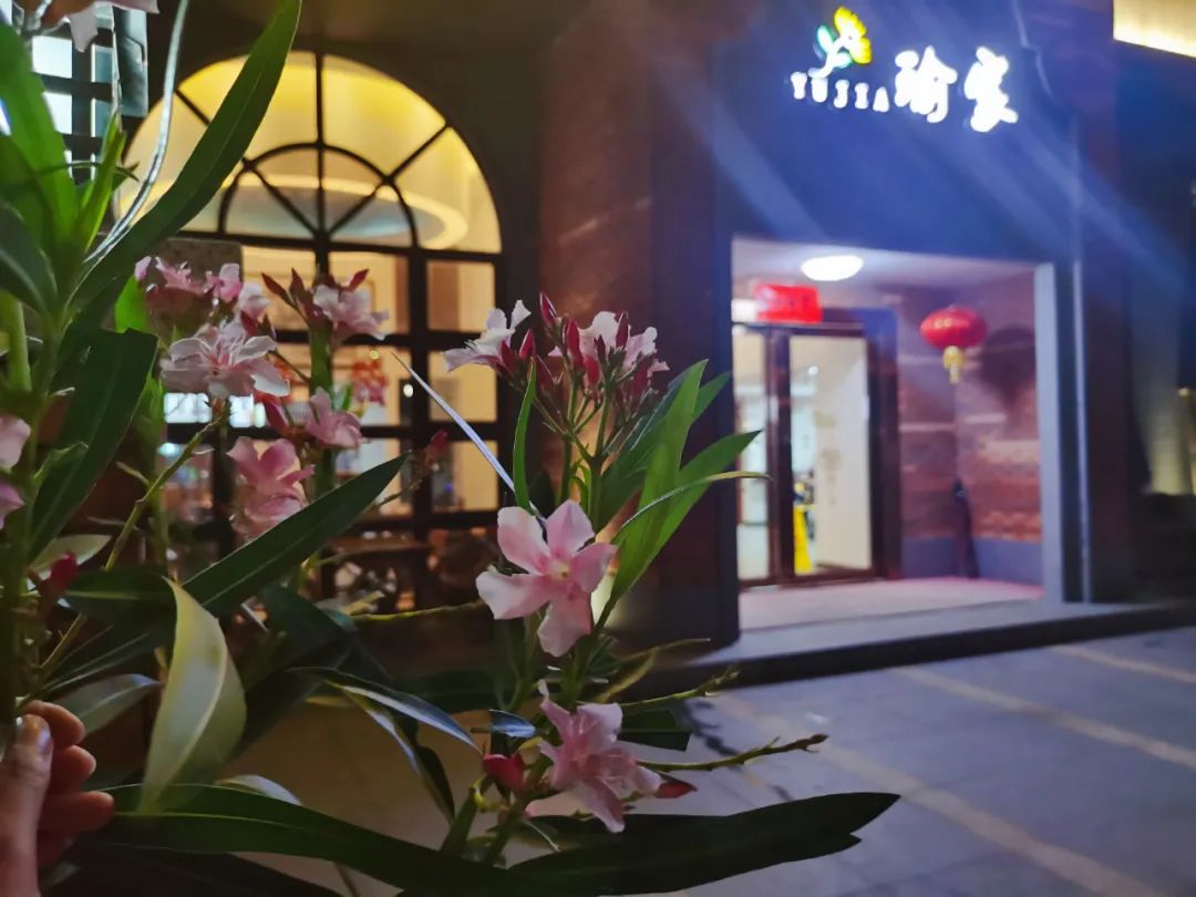 横琴奏一曲：瑜家的温馨丨初夏.珠海后花园畅游记