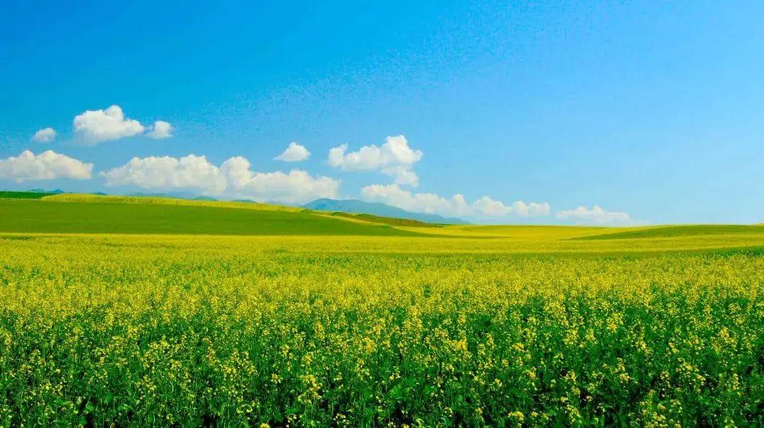 带有收藏的成语,成语归纳给孩子收藏吧