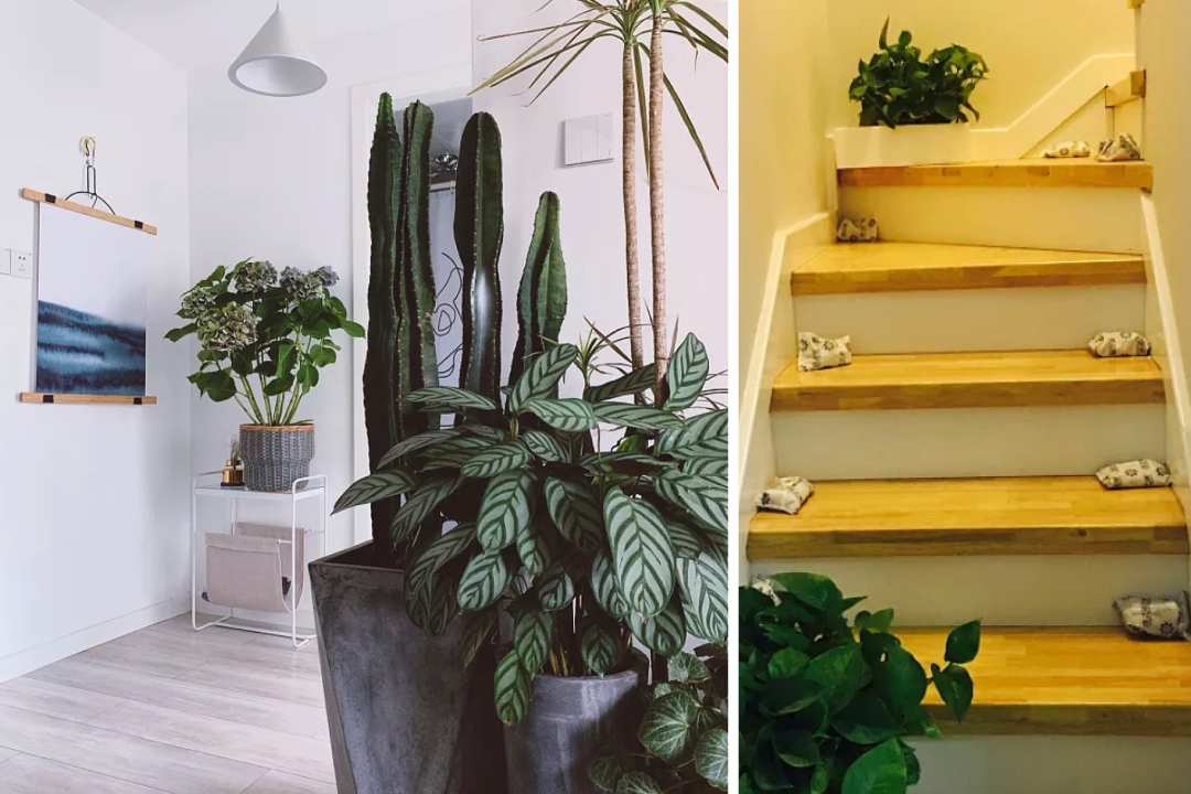 不会轻易告诉你的清洁小妙招,这五个清洁小妙招赶紧收藏起来吧