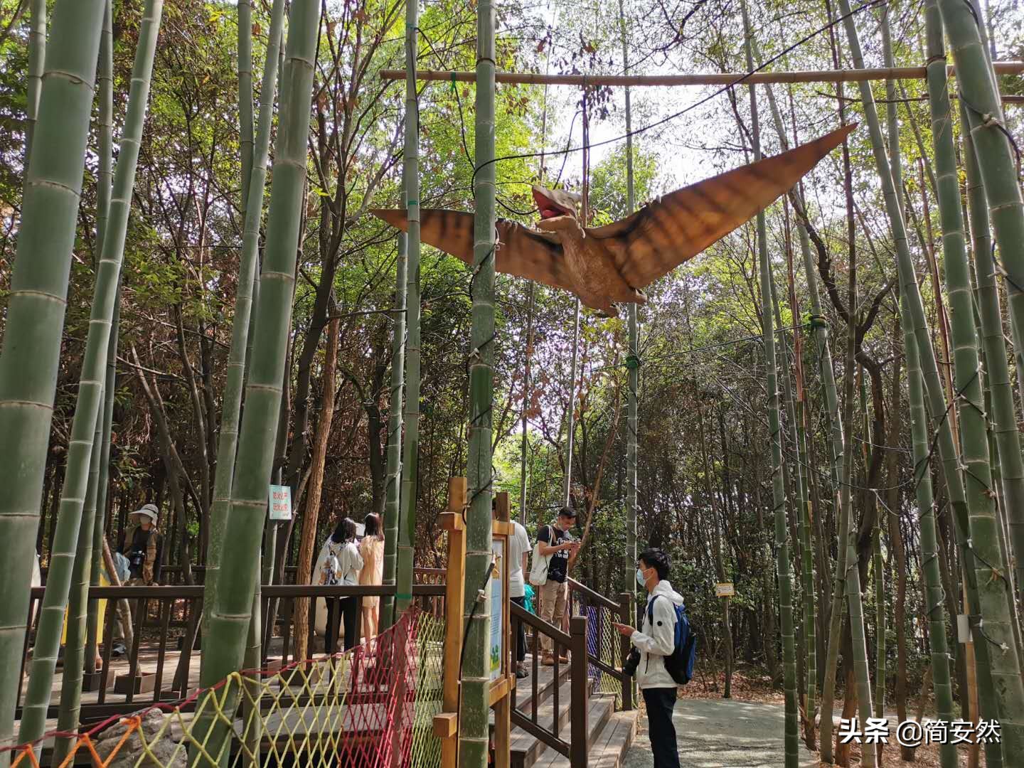 松鼠部落自驾游,松鼠部落一日游