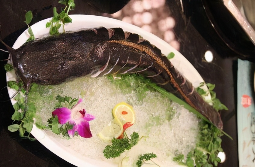 老少皆宜纯鱼松,老少皆宜香酥鱼排