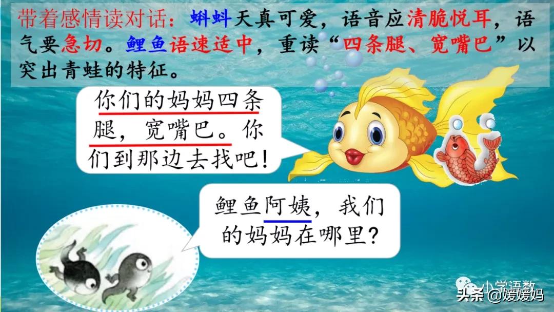 二年级上册小蝌蚪找妈妈听写词语,朗读二年级上册语文小蝌蚪找妈妈