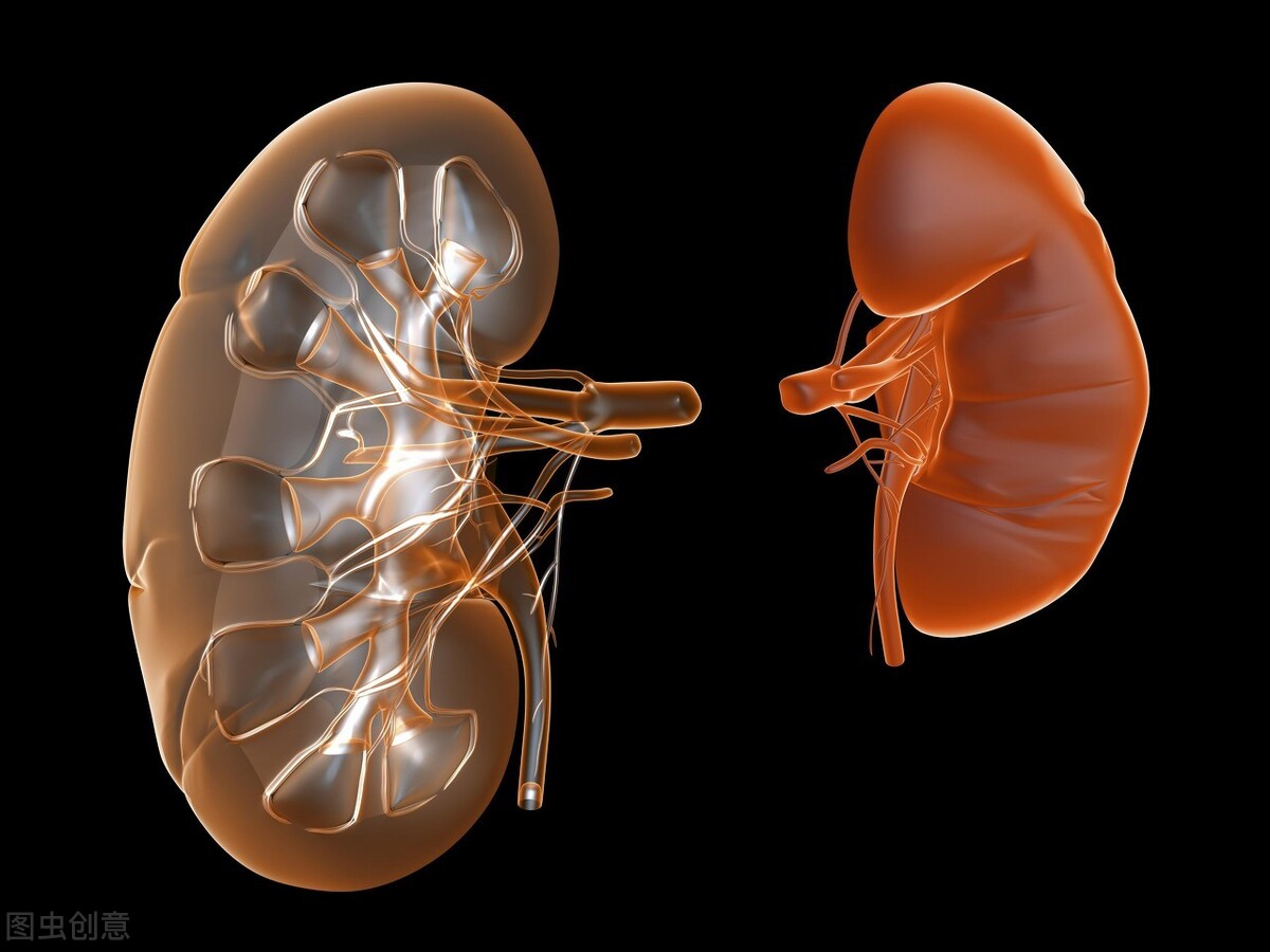 补气四大参,补气四味好药