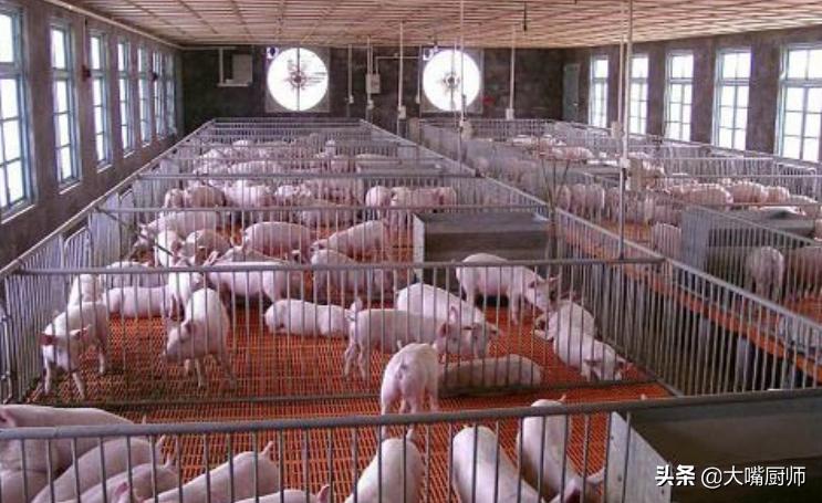 为什么进口奶粉不用生牛乳,为什么奶粉是用羊奶做的