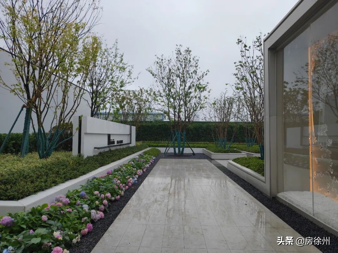 徐州鼓楼区绿城诚园110户型,徐州天宸和绿城诚园哪个好