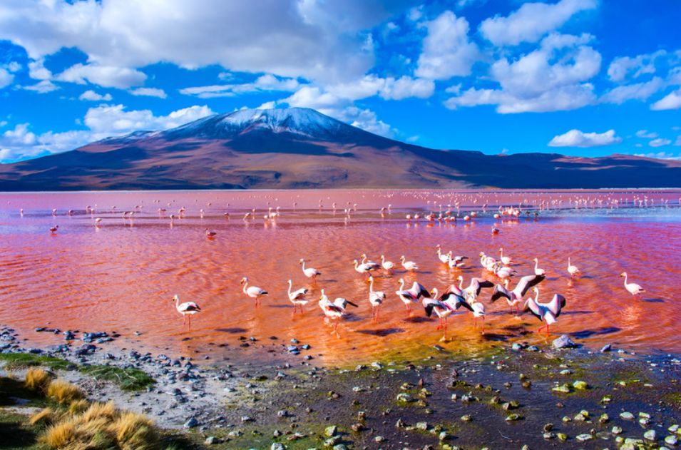 春节返季旅行地大推荐,圣诞元旦旅游出行攻略