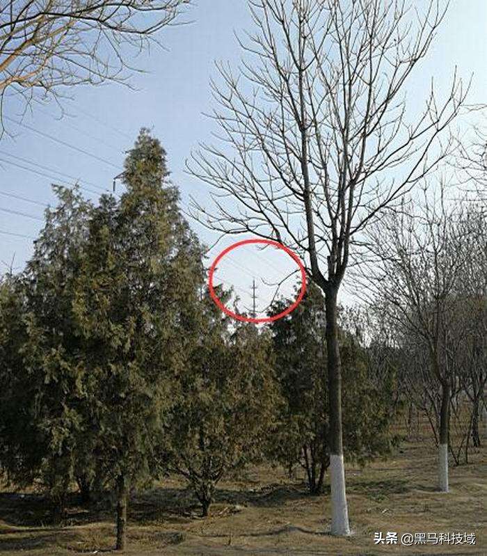 98式军用望远镜性能,88式98式军用望远镜哪个好