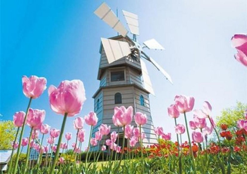 40岁女护士卵巢癌术后，左下腹长出了一个大瘤子，还粘住了血管，