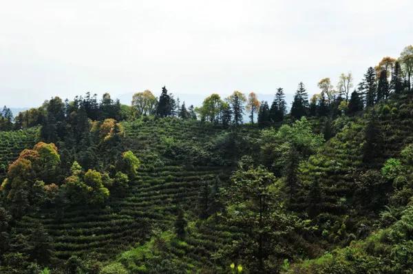 骆崃山景点,骆崃山门票