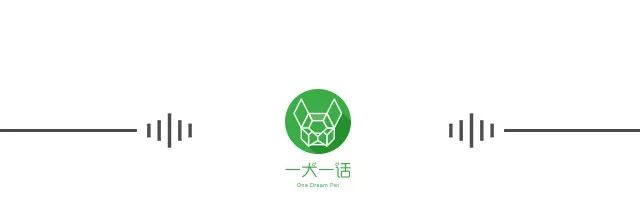 一心|猫能改善你的抑郁症吗？