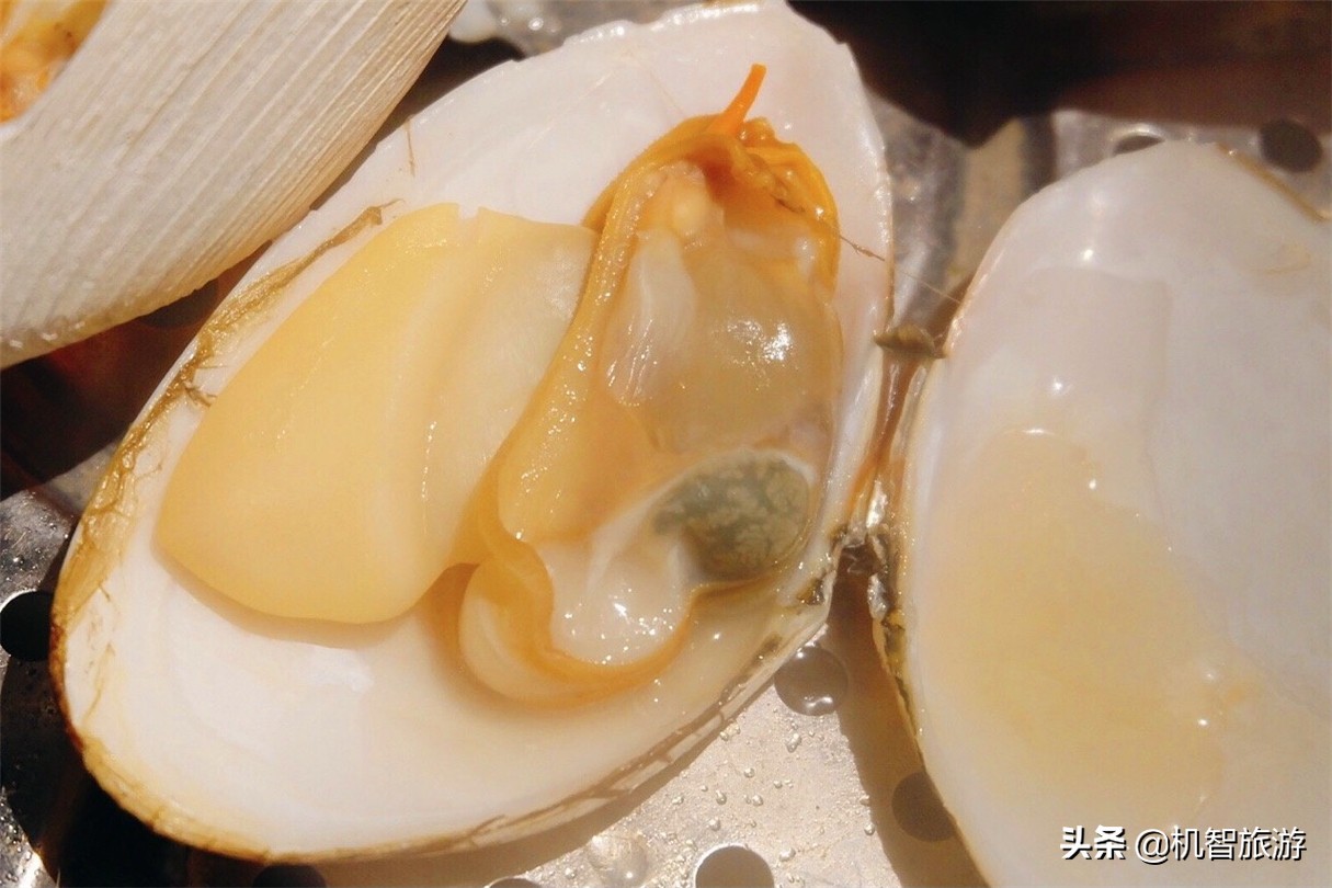 日照住宿怎么选，这份攻略带你深度了解日照游玩的就餐住宿资讯