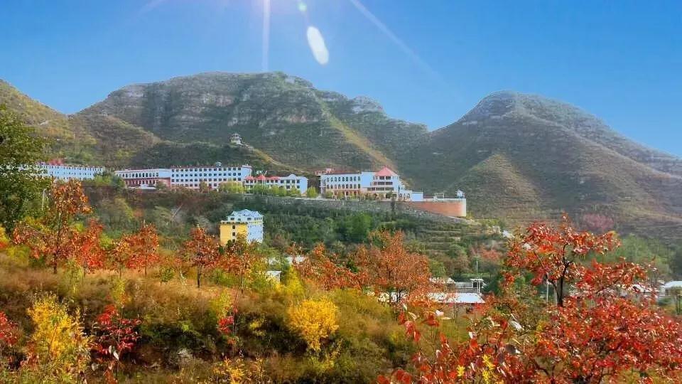 河北百柿酒39度多少钱一瓶,白柿酒