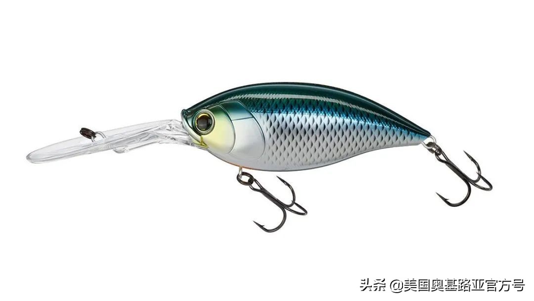 全国渔具展会2021时间表图片,2023国际渔具展会大全一览表