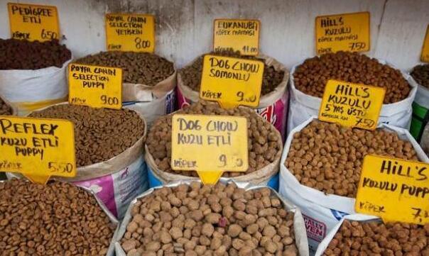 贵宾犬一般吃什么狗粮好,贵宾犬吃什么狗粮好