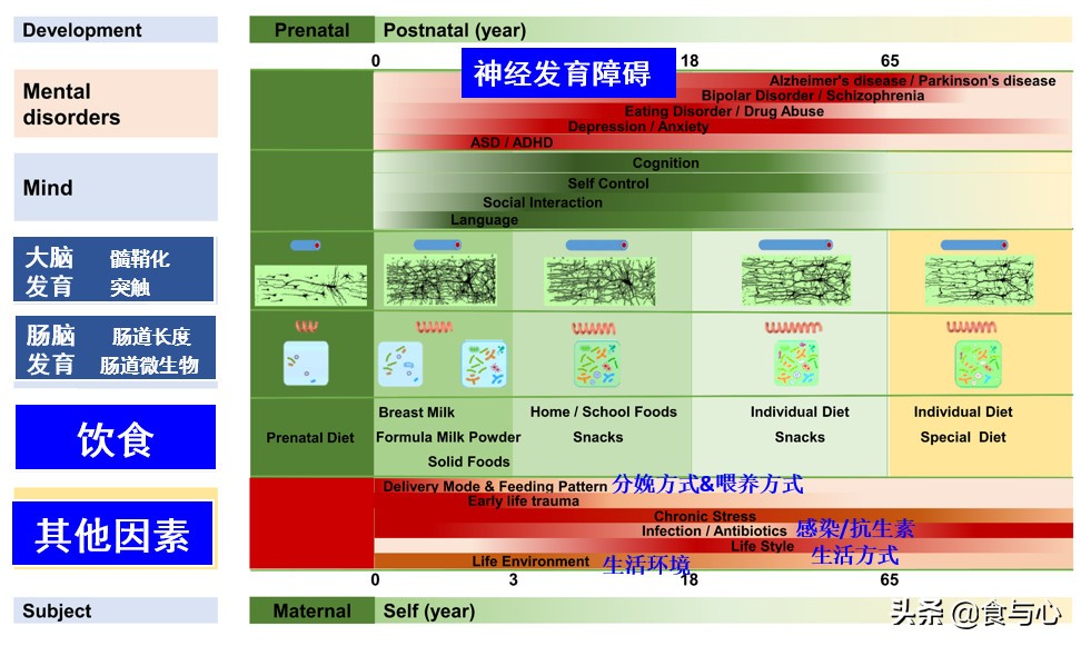自闭症为什么会控制不住情绪,为什么自闭症要干预生殖