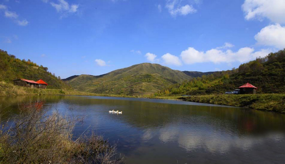武山县油菜花旅游打卡地,天水武山滩歌油菜花海掠影