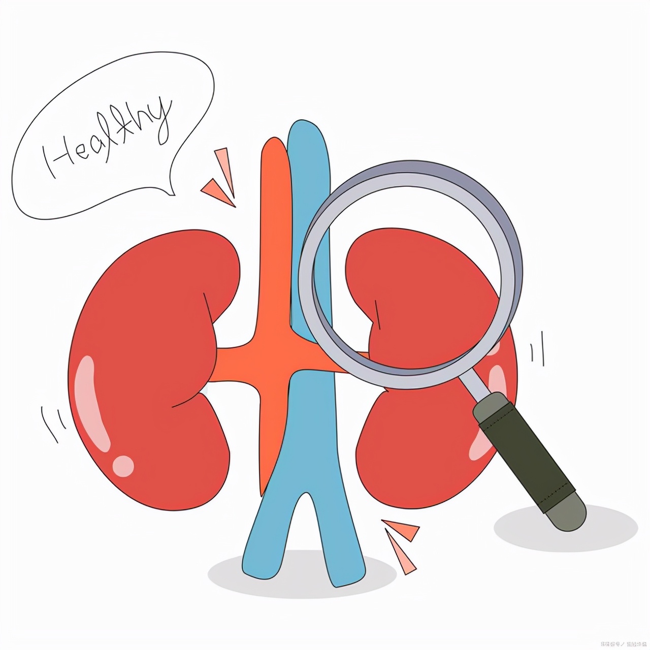 长期吃鸡蛋白对身体是好还是坏,健康人吃蛋粉会影响肾功能吗