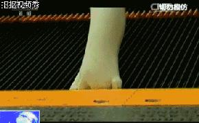 女子抱娃时意外摔倒原视频,婴儿扶梯坠亡事件