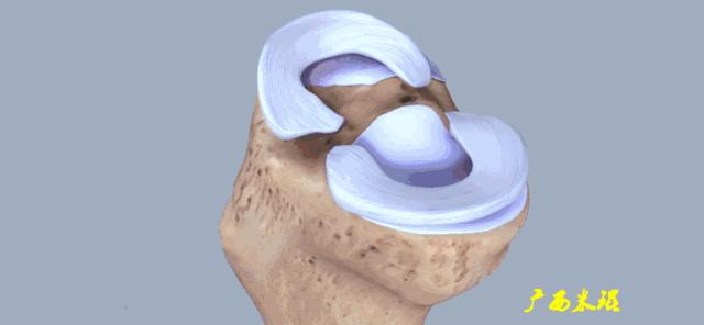 听骨科医生讲的话,听完骨科专家的一段话